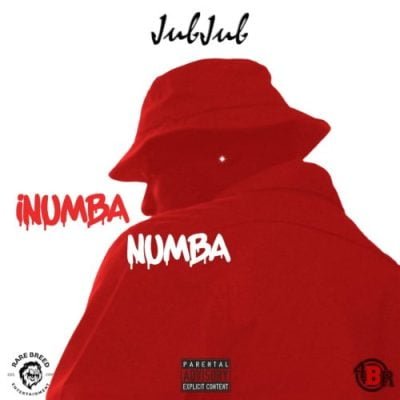 Jub Jub iNumba Numba Mp3 Download