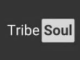 TribeSoul C Section Mp3 Download