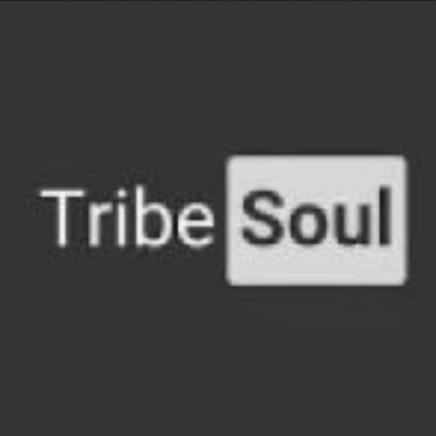 TribeSoul C Section Mp3 Download