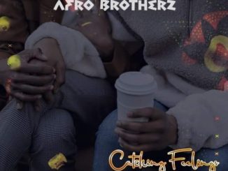Afro Brotherz Catching Feelings Mp3 Download