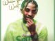 Flvme Man In My City Lyrics