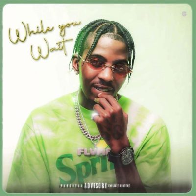 Flvme While You Wait EP Download