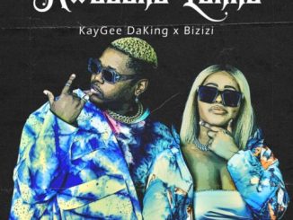 Kaygee DaKing Come Duze Mp3 Download