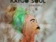 Kaygo Soul Muffin and Giraffe Mp3 Download