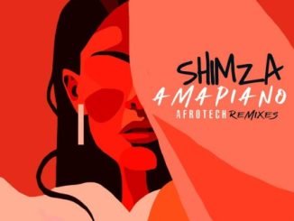 Shimza Amapiano Afrotech Remixes EP Download