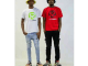 Stady K 1520 Selection Mix Download