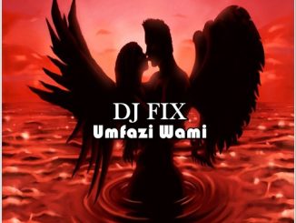 DJ Fix Umfazi Mp3 Download