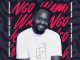 Deeper Phil Ngowami Mp3 Download