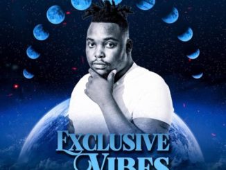 Loxion Deep Exclusive Vibes Vol. 2 Album Download