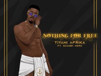 Tiyani Afrika Nothing For Free Mp3 Download