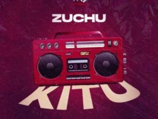 Zuchu Kitu Mp3 Download