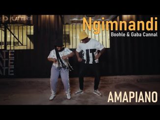 Boohle Ngimnandi Video Download