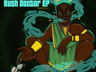 Buddynice Bush Doctor EP Download