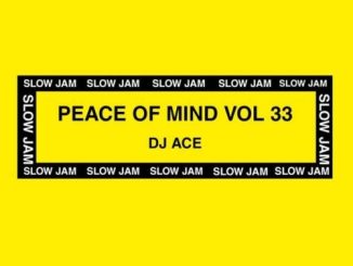 DJ Ace Peace of Mind Vol 33 Mix Download