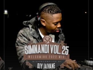 DJ Jaivane Simnandi Vol 25 Mix Download