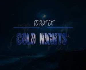 DJ Phat Cat Cold Nights Mp3 Download