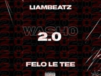 Felo Le Tee Washo 2.0 EP Download
