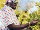 Madumane Unreleased 2 Mp3 Download