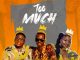 Mapara A Jazz Too Much Mp3 Download