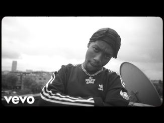 Roiii La Vida Loca Video Download