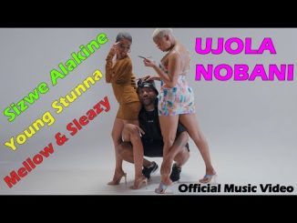 Sizwe Alakine Ujola Nobani Video Download