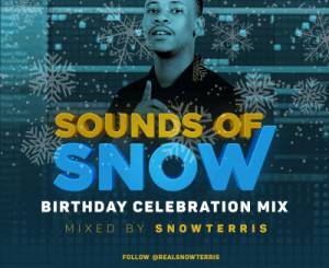 SnowTerris Sounds Of Snow Vol.1 Mix Download