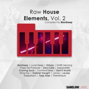 Various Artists Raw House Elements Vol. 2 Album Download