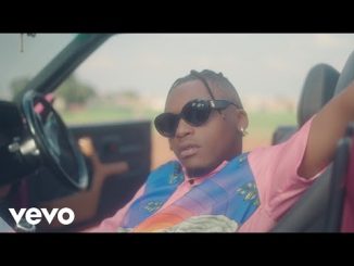 Yanga Chief Mdogish Video Download