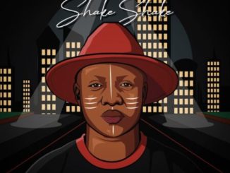 Caiiro Shake Shake Mp3 Download