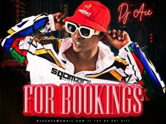 DJ Ace Mega Hits Mix Download