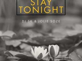 DJ SK Stay Tonight Mp3 Download
