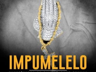 Fanzo Impumelelo Mp3 Download