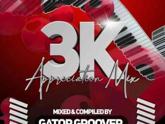 Gator Groover 3K Appreciation Mix Download