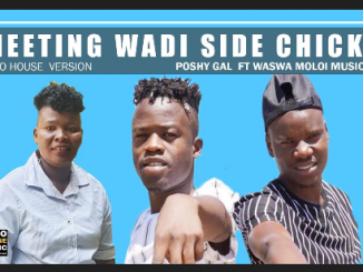 Poshy Gal Meeting Wadi Side Chick Mp3 Download