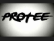 Pro-Tee In 2 Sub Mp3 Download
