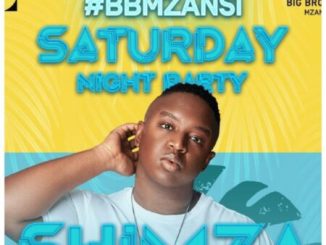 Shimza Big Brother Mzansi Party Mix 2022 Download