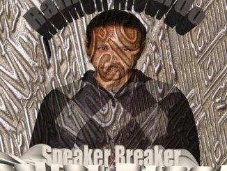 Speaker Breaker Zena O Bine Mp3 Download