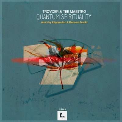 Troyder Quantum Spirituality Mp3 Download