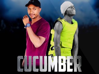 Villager SA Cucumber Mp3 Download