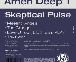 Amen Deep T Skeptical Pulse EP Download