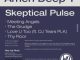 Amen Deep T Skeptical Pulse EP Download