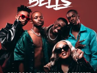 DBN Gogo Bells Mp3 Download