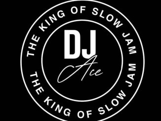 DJ Ace Peace of Mind Vol 35 Mix Download