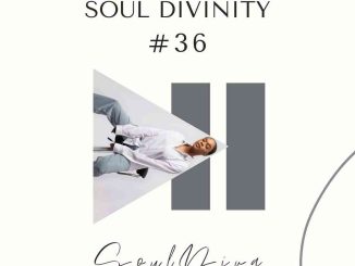 Soul Diva Soul Divinity #36 Mix Download