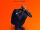 Black Sherif Kwaku The Traveller Lyrics