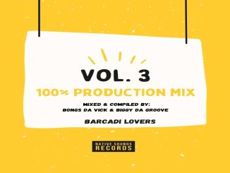 Bongs Da Vick 100 Production Mix Vol 3 Download