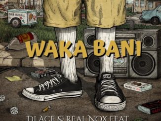DJ Ace Waka Bani Mp3 Download