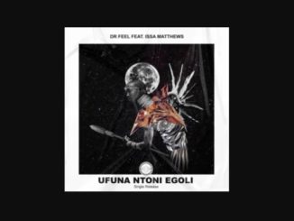Dr Feel Ufunantoni eGoli Mp3 Download