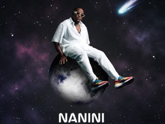 Lebza TheVillain Nanini Album Download