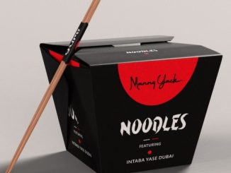 Manny Yack Noodles Mp3 Download